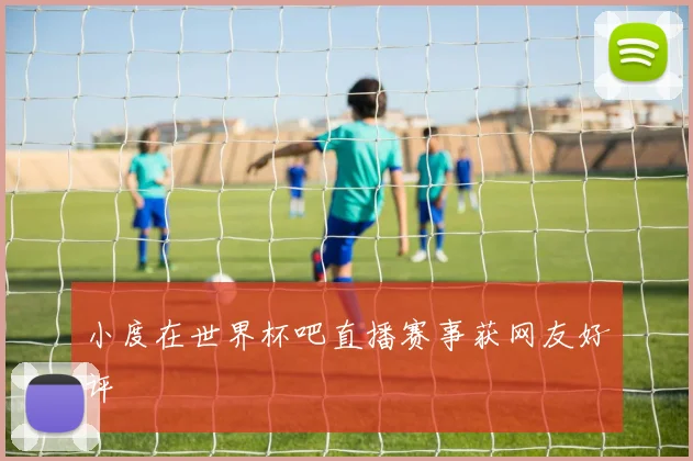 小度在世界杯吧直播赛事获网友好评
