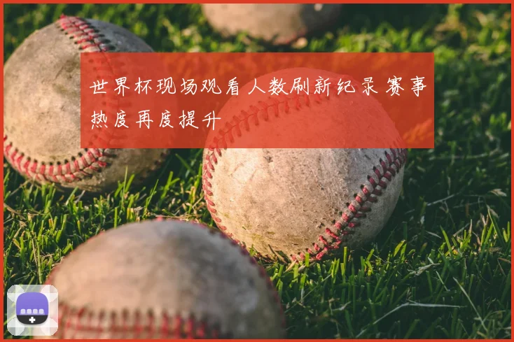 世界杯现场观看人数刷新纪录 赛事热度再度提升