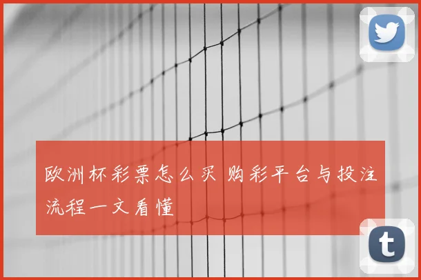 欧洲杯彩票怎么买 购彩平台与投注流程一文看懂