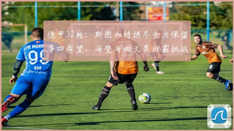 德甲32轮：斯图加特拼尽全力保留争四希望，海登海姆无畏班霸挑战_比赛_霍芬_胜利