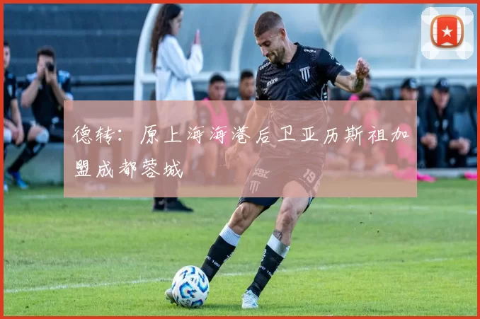 德转：原上海海港后卫亚历斯祖加盟成都蓉城