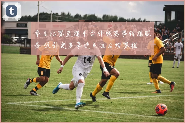 拳击比赛直播平台升级赛事转播服务 吸引更多拳迷关注后续赛程